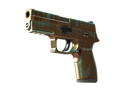 P250 | Verdigris (Minimal Wear) — skin CS2