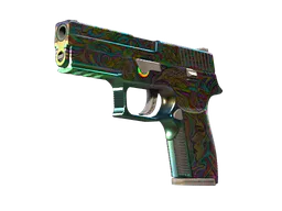 P250 | Visions (Factory New) — skin CS2