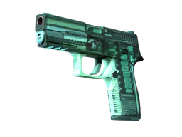 P250 | X-Ray (Factory New) — skin CS2