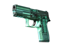 P250 | X-Ray (Field-Tested) — skin CS2