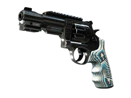 R8 Revolver | Grip (Field-Tested) — skin CS2