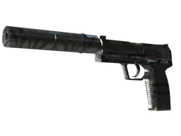 USP-S | Dark Water (Minimal Wear) — skin CS2