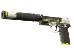 USP-S | Torque (Factory New) — skin CS2
