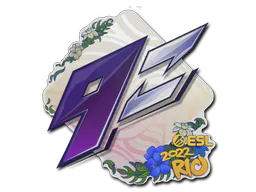 Sticker 9z Team | Rio 2022 - Preço e onde comprar no CS2