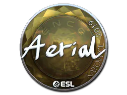Sticker Aerial (Foil) | Katowice 2019 - Preço e onde comprar no CS2