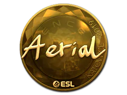 Sticker Aerial (Gold) | Katowice 2019 - Preço e onde comprar no CS2