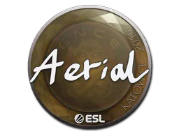Sticker Aerial | Katowice 2019 - Preço e onde comprar no CS2