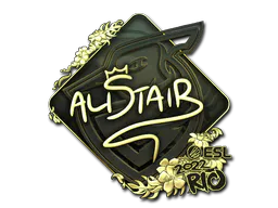 Sticker aliStair (Gold) | Rio 2022 - Preço e onde comprar no CS2