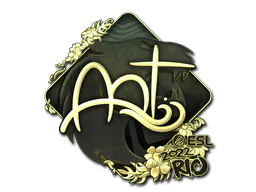 Sticker arT (Gold) | Rio 2022 - Preço e onde comprar no CS2