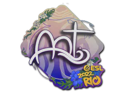 Sticker arT | Rio 2022 - Preço e onde comprar no CS2