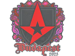 Sticker Astralis | Budapest 2025 - Preço e onde comprar no CS2