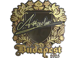 Sticker Attacker (Gold) | Budapest 2025 - Preço e onde comprar no CS2