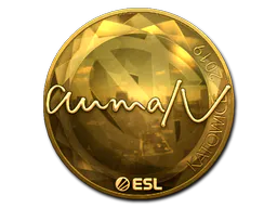 Sticker aumaN (Gold) | Katowice 2019 - Preço e onde comprar no CS2