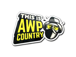 Sticker Awp Country - Preço e onde comprar no CS2