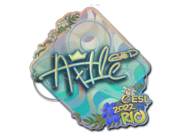 Sticker Ax1Le (Holo) | Rio 2022 - Preço e onde comprar no CS2