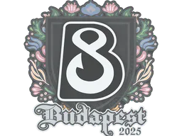 Sticker B8 | Budapest 2025 - Preço e onde comprar no CS2