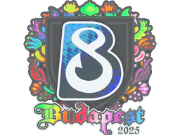 Sticker B8 (Holo) | Budapest 2025 - Preço e onde comprar no CS2