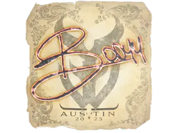 Sticker bodyy | Austin 2025 - Preço e onde comprar no CS2