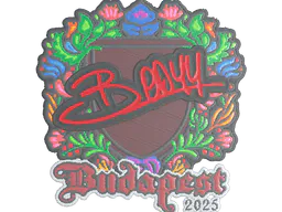Sticker bodyy (Embroidered) | Budapest 2025 - Preço e onde comprar no CS2
