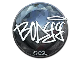 Sticker bodyy (Foil) | Katowice 2019 - Preço e onde comprar no CS2