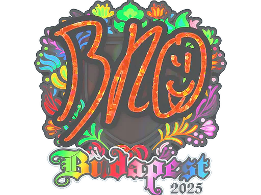 Sticker br0 (Holo) | Budapest 2025 - Preço e onde comprar no CS2