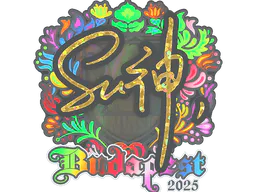 Sticker C4LLM3SU3 (Holo) | Budapest 2025 - Preço e onde comprar no CS2