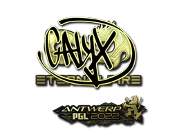 Sticker Calyx (Gold) | Antwerp 2022 - Preço e onde comprar no CS2