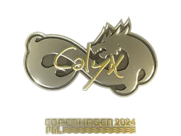 Sticker Calyx (Gold) | Copenhagen 2024 - Preço e onde comprar no CS2