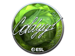 Sticker COLDYY1 (Foil) | Katowice 2019 - Preço e onde comprar no CS2
