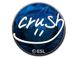 Sticker crush (Foil) | Katowice 2019 - Preço e onde comprar no CS2