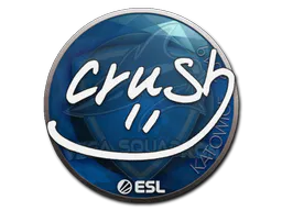 Sticker crush | Katowice 2019 - Preço e onde comprar no CS2