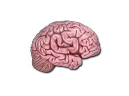 Sticker CS On The Mind - Preço e onde comprar no CS2