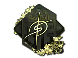 Sticker degster (Gold) | Rio 2022 - Preço e onde comprar no CS2
