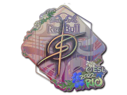 Sticker degster (Holo) | Rio 2022 - Preço e onde comprar no CS2