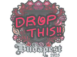 Sticker drop | Budapest 2025 - Preço e onde comprar no CS2