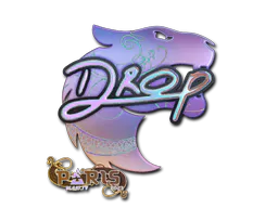 Sticker drop (Holo) | Paris 2023 - Preço e onde comprar no CS2