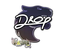Sticker drop | Paris 2023 - Preço e onde comprar no CS2