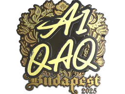 Sticker EmiliaQAQ (Gold) | Budapest 2025 - Preço e onde comprar no CS2