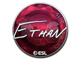 Sticker Ethan (Foil) | Katowice 2019 - Preço e onde comprar no CS2