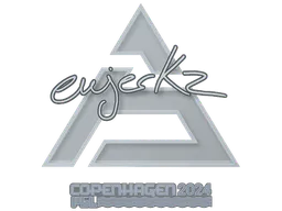 Sticker ewjerkz | Copenhagen 2024 - Preço e onde comprar no CS2