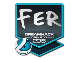 Sticker fer | Cluj-Napoca 2015 - Preço e onde comprar no CS2