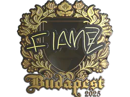 Sticker FlameZ (Gold) | Budapest 2025 - Preço e onde comprar no CS2