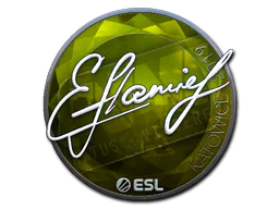 Sticker flamie (Foil) | Katowice 2019 - Preço e onde comprar no CS2