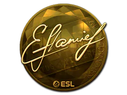 Sticker flamie (Gold) | Katowice 2019 - Preço e onde comprar no CS2