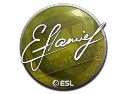 Sticker flamie | Katowice 2019 - Preço e onde comprar no CS2