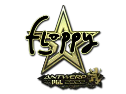 Sticker floppy (Gold) | Antwerp 2022 - Preço e onde comprar no CS2