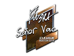 Sticker flusha (Foil) | Boston 2018 - Preço e onde comprar no CS2