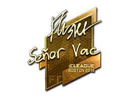 Sticker flusha (Gold) | Boston 2018 - Preço e onde comprar no CS2