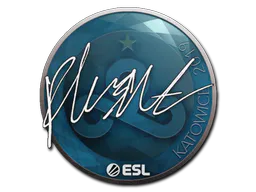 Sticker flusha | Katowice 2019 - Preço e onde comprar no CS2