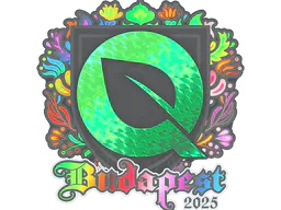 Sticker FlyQuest (Holo) | Budapest 2025 - Preço e onde comprar no CS2